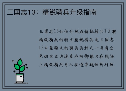 三国志13：精锐骑兵升级指南